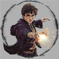 Harry Potter-HP 222